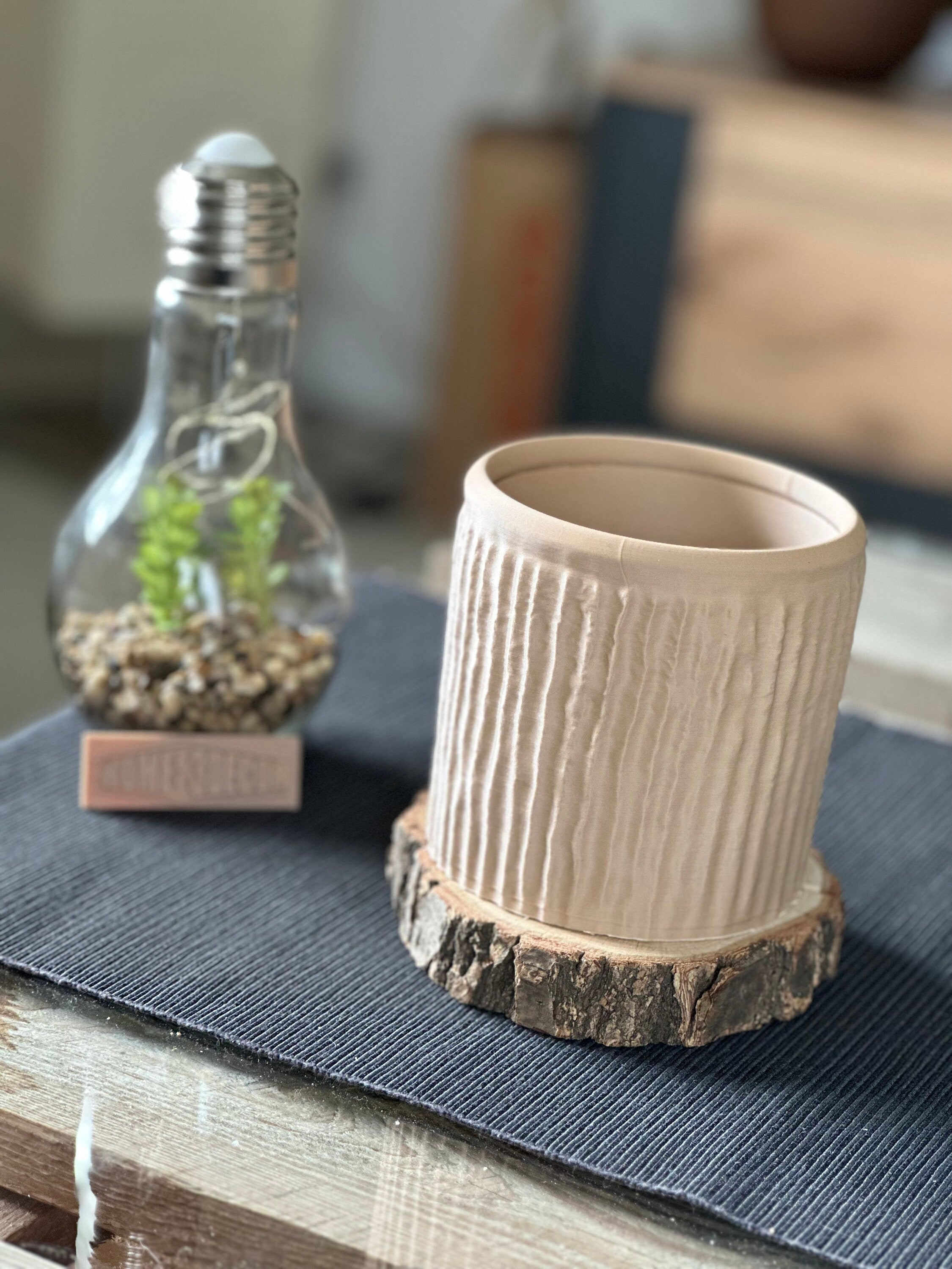 Modern Decorative Vase and Plant Pot natura for